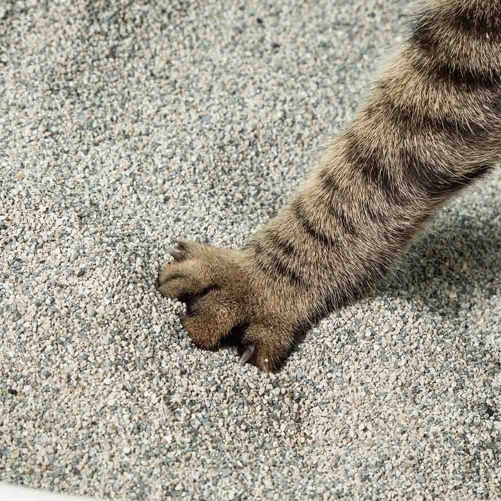 怪獸部落 費洛蒙快樂貓砂/豆腐砂/礦砂/貓沙/貓砂/低粉塵/秒凝結/超除臭-細節圖6