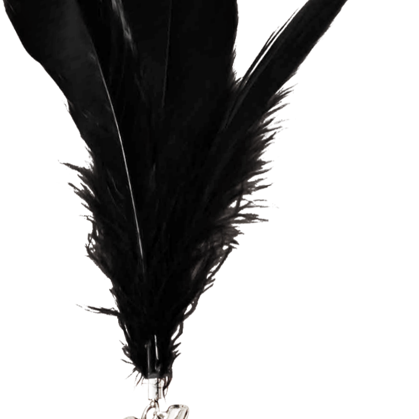 怪獸部落 貓咪逗貓棒 補充包 替換頭補充包 羽毛頭 天使法杖 惡魔長鞭 羽毛補充包 逗貓玩具 逗貓棒配件-細節圖2