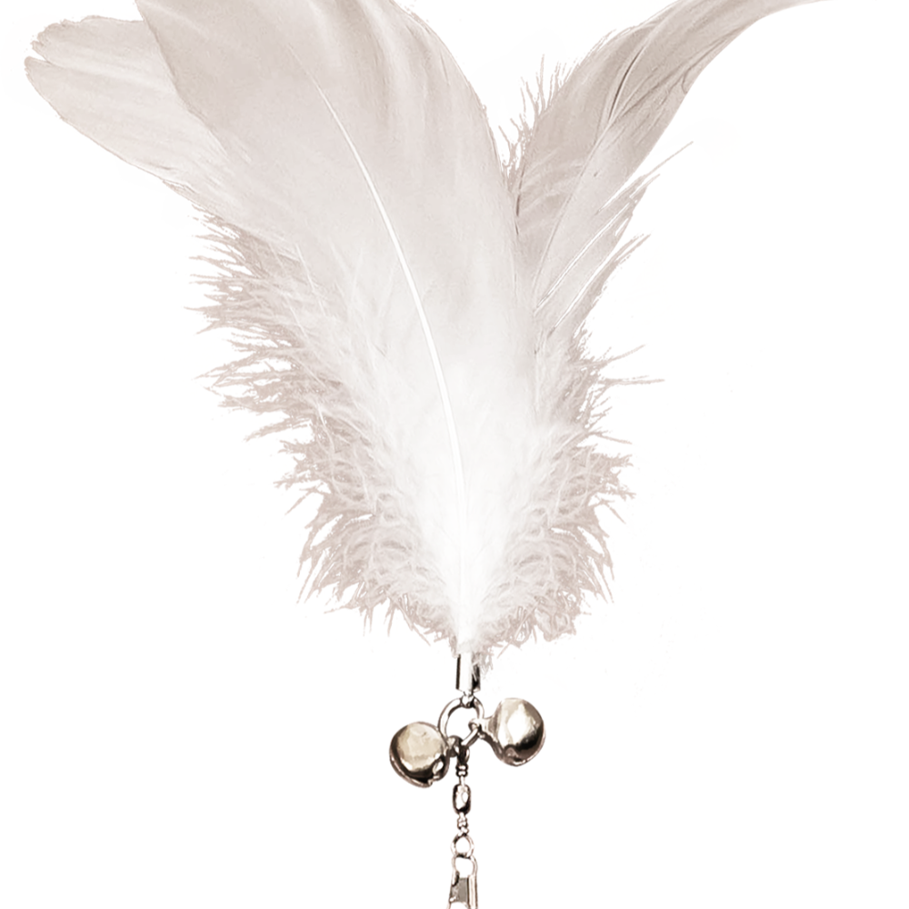 怪獸部落 貓咪逗貓棒 補充包 替換頭補充包 羽毛頭 天使法杖 惡魔長鞭 羽毛補充包 逗貓玩具 逗貓棒配件-細節圖3