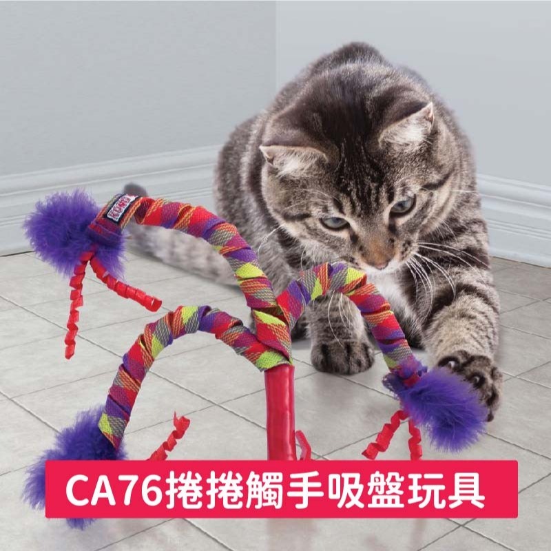 美國 KONG CAT 貓玩具/貓咪玩具/貓草玩具/逗貓玩具/寵物玩具-細節圖2