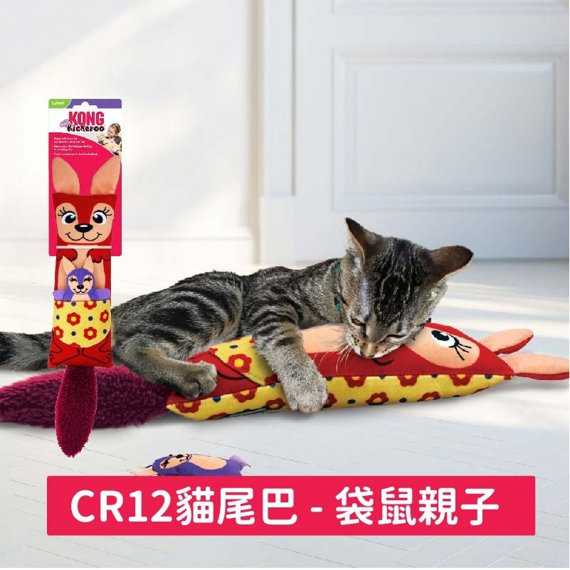 美國 KONG CAT 貓玩具/貓咪玩具/貓草玩具/逗貓玩具/寵物玩具-細節圖5