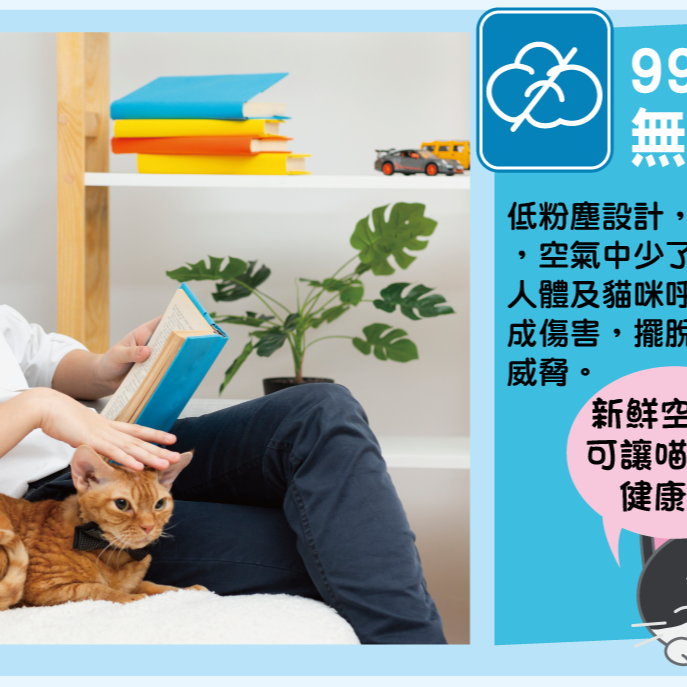 倍淨 purreland 2.0豆腐貓砂/豆腐貓沙/豆腐砂/貓砂/低粉塵/單層便盆適用/凝結力佳6L-細節圖6