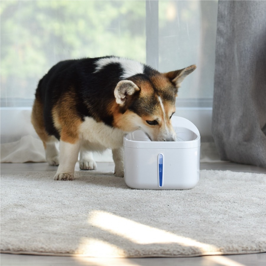 多尼斯 DOGNESS 寵物自動飲水機/寵物飲水機/飲水機 2L-細節圖6