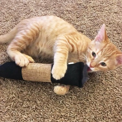 傑克森 Petmate 貓草拳擊貓咪玩具 1入 兔子踢/貓草玩具-細節圖2