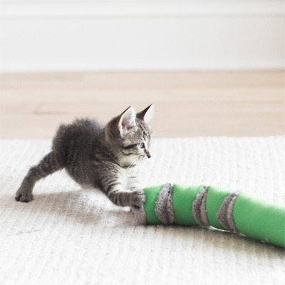 傑克森 Petmate 貓草拳擊貓咪玩具 1入 兔子踢/貓草玩具-細節圖5