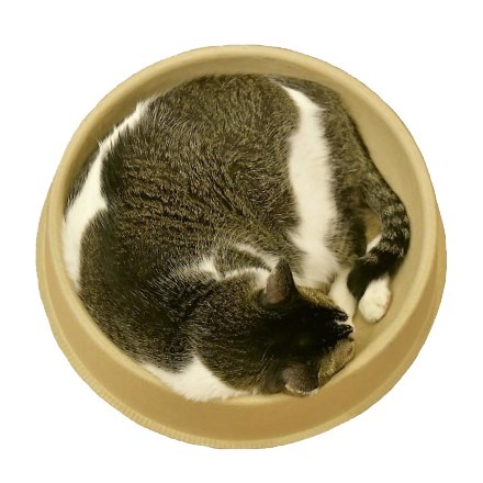 NO.88號倉庫 甜甜圈涼床/麒麟球/蛋塔盆 貓床/貓睡床/貓抓板/貓窩 1入-細節圖2