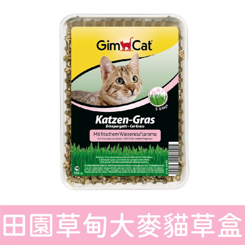 德國竣寶 Gimcat 速成胚芽貓草/DIY培植/貓草/貓草種植 袋裝/盒裝-細節圖2