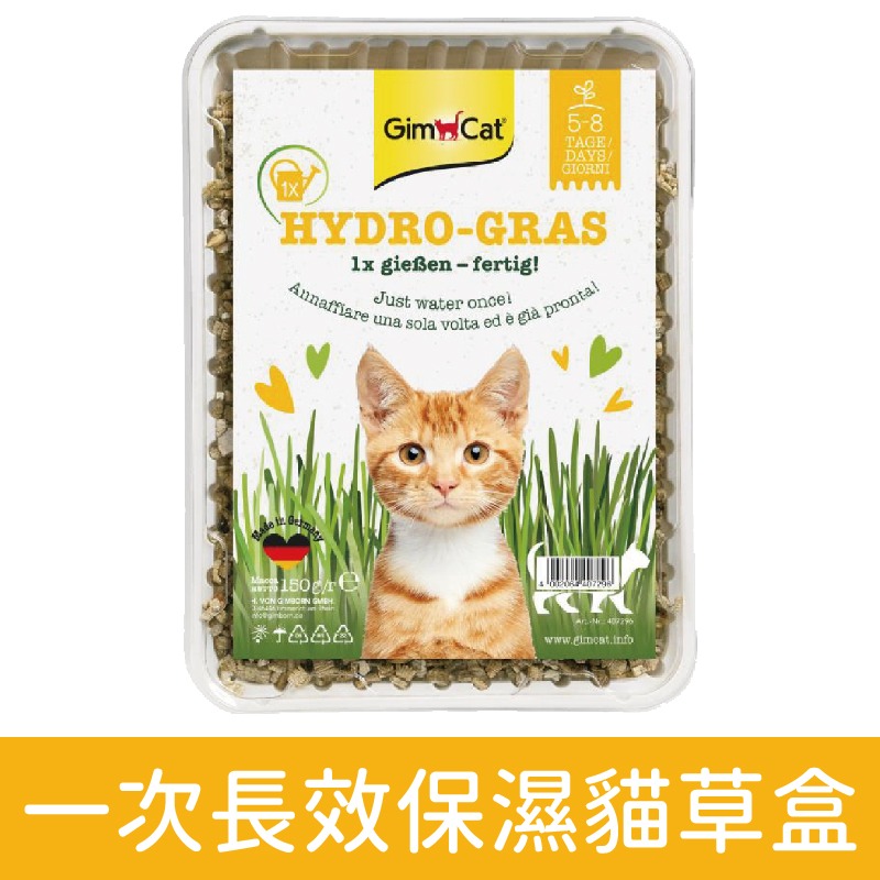 德國竣寶 Gimcat 速成胚芽貓草/DIY培植/貓草/貓草種植 袋裝/盒裝-細節圖3