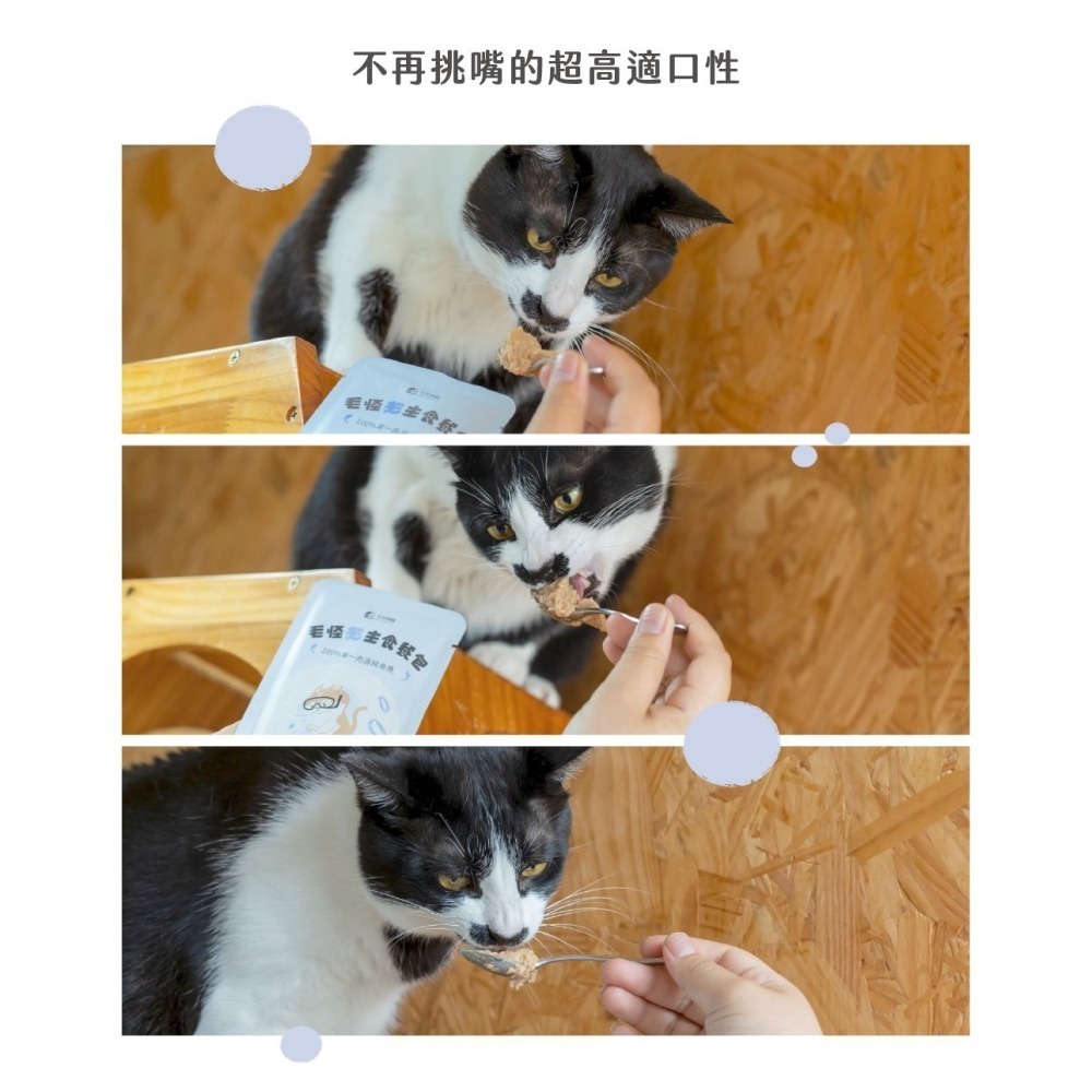 毛怪樂園 毛怪貓主食餐包/單一肉源/高蛋白/適口性高/肉泥/全齡貓/貓主食/貓餐包/貓罐 50g-細節圖4