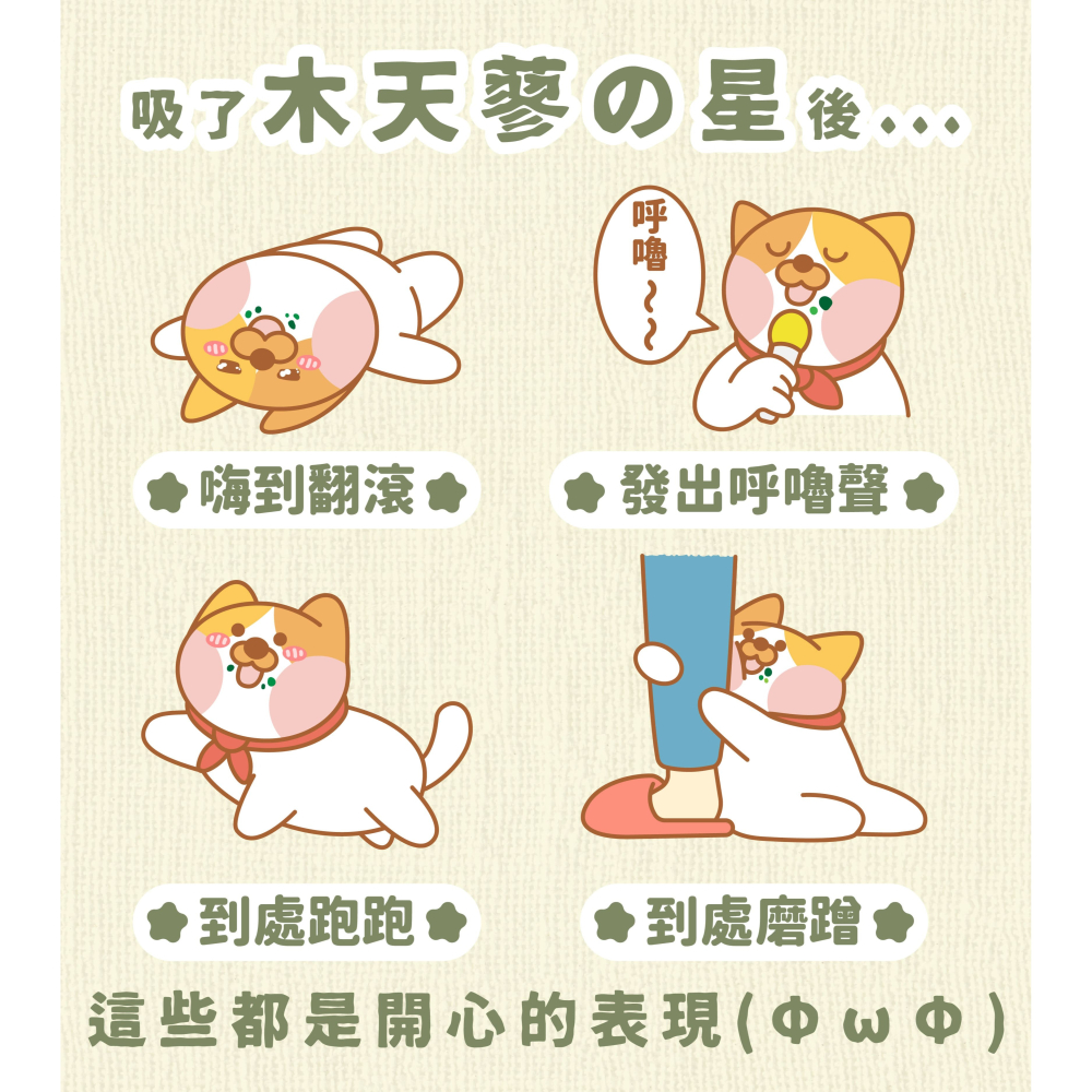 好食寓所 Zestypetfood 木天蓼の星 貓草の星/貓咪紓壓/天然/無農藥/貓零食/貓薄荷/貓草/木天蓼-細節圖7