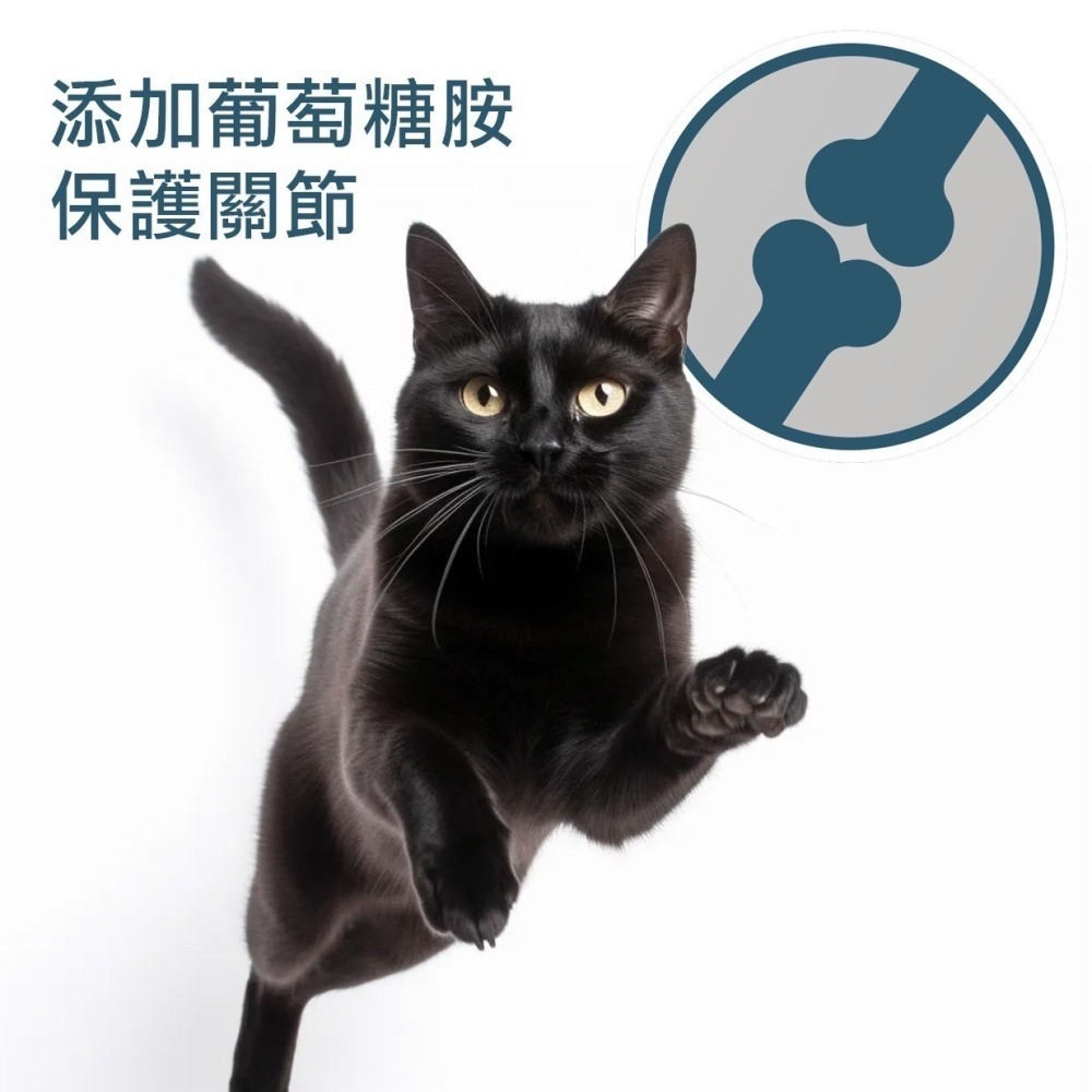 喵探長 全方位羊奶粉/添加鱉蛋粉/添加牛磺酸/低乳糖/關節/眼睛/皮毛/幼犬/幼貓/寵物奶粉/犬貓奶粉 180g-細節圖4