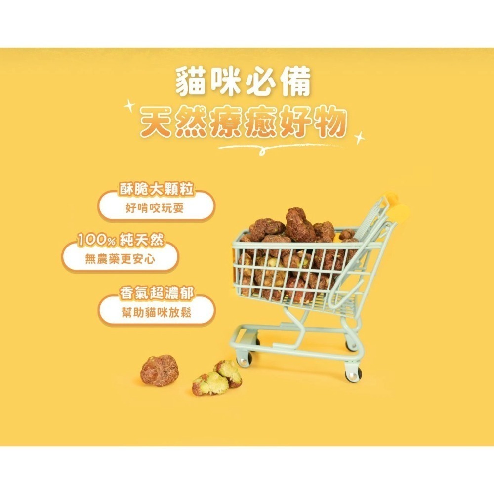 怪獸部落 LitoMON 貓零食 Chill快樂凍乾蟲癭果 貓咪紓壓 寵物零食 貓咪零食 冷凍乾燥 18g-細節圖2