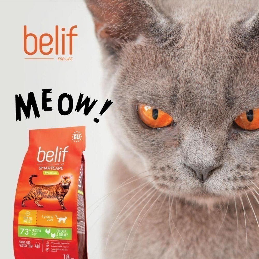 比利夫 belif 貓主食 贈(詳內文) 貓咪飼料 貓飼料 貓糧 成貓 幼貓 泌尿保健 高蛋白-細節圖3