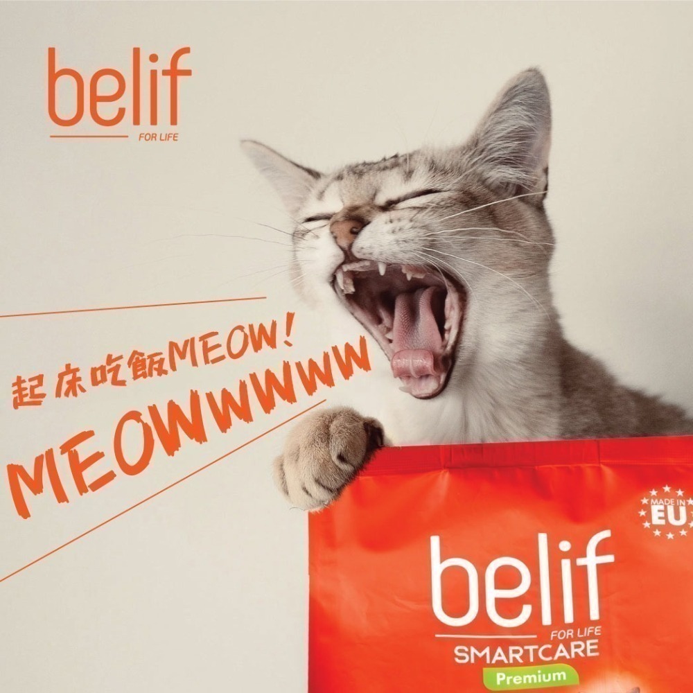 比利夫 belif 貓主食 贈(詳內文) 貓咪飼料 貓飼料 貓糧 成貓 幼貓 泌尿保健 高蛋白-細節圖6