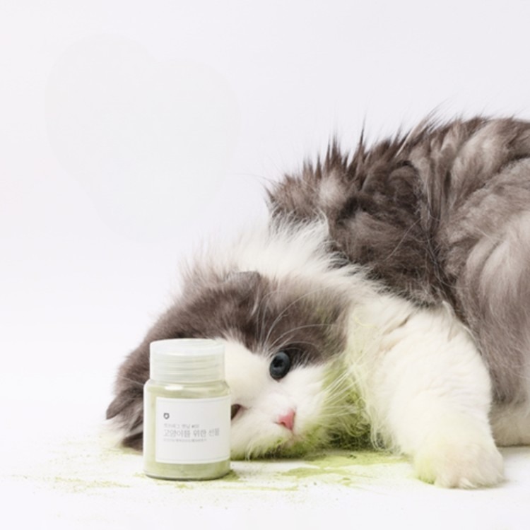 catstag 貓薄荷系列 脆片型 粉末型 貓咪紓壓 貓薄荷粉 貓薄荷 貓咪零食-細節圖5