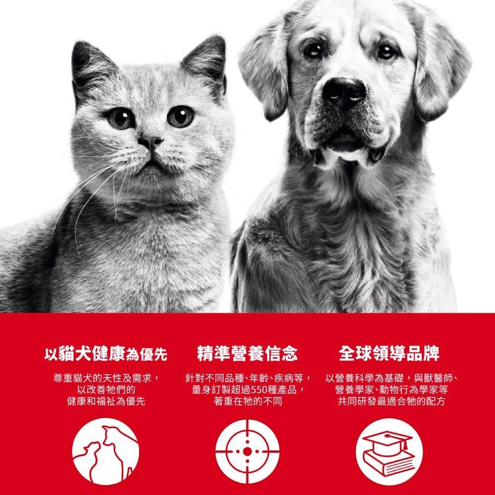 皇家 ROYAL CANIN 法國皇家 貓咪飼料 貓糧 貓乾糧 成貓 幼貓 老貓 貓主食-細節圖5