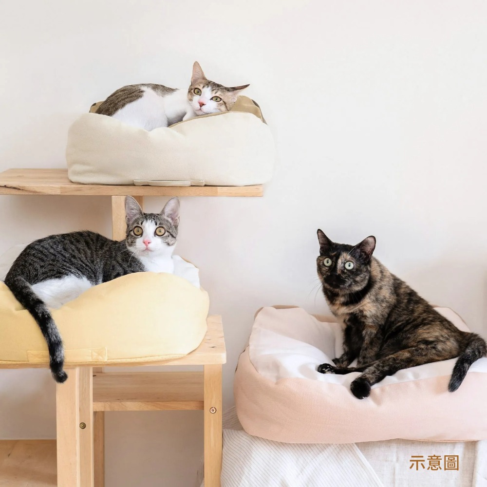 好味小姐 LADY FLAVOR 懶骨頭 寵物床 寵物沙發 貓床 狗狗床 寵物睡床 寵物窩-細節圖7