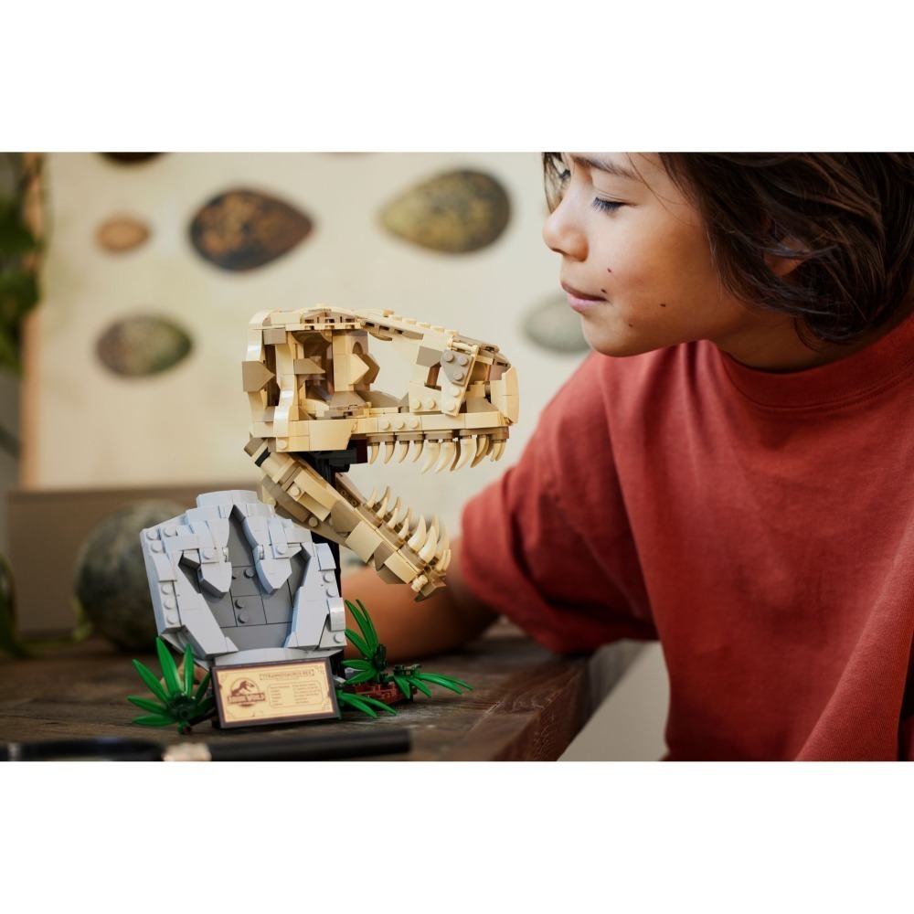 [木木磚家]  LEGO 76964 恐龍化石：霸王龍的頭骨 Jurassic World系列 (2024 1月)-細節圖2