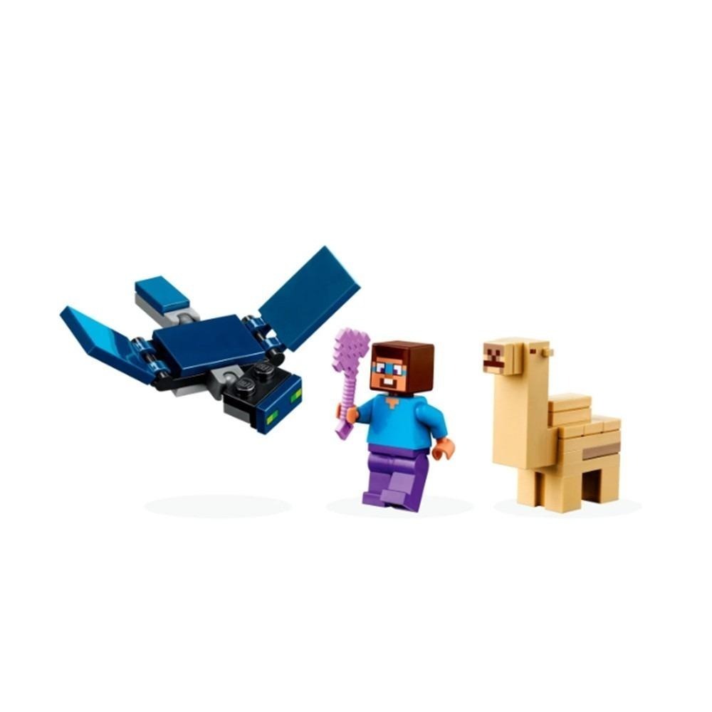[木木磚家] LEGO 21251 史蒂夫 沙漠探險-細節圖3
