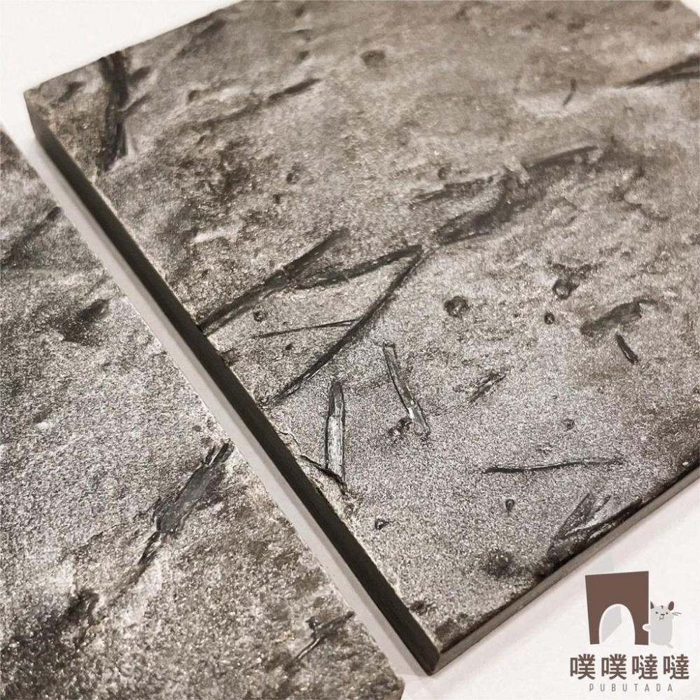 [噗噠] 天然板岩 OTTA 倉鼠涼墊 小動物 降溫版 散熱墊 寵物涼墊-細節圖5