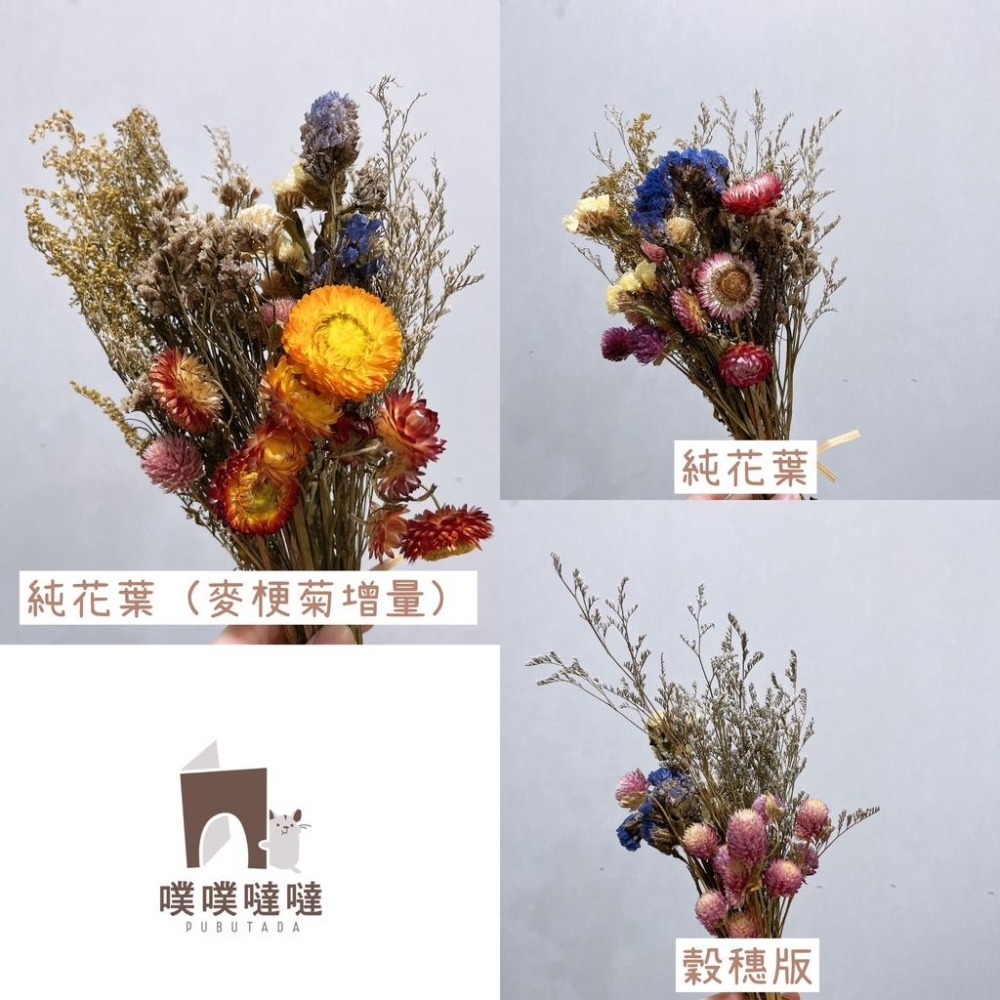 [噗噠]科養豐容造景包✨科養必備✨乾燥花、天然樹葉 高粱穗 小麥穗 倉鼠 黃金鼠 三線鼠 通心粉鼠-細節圖3