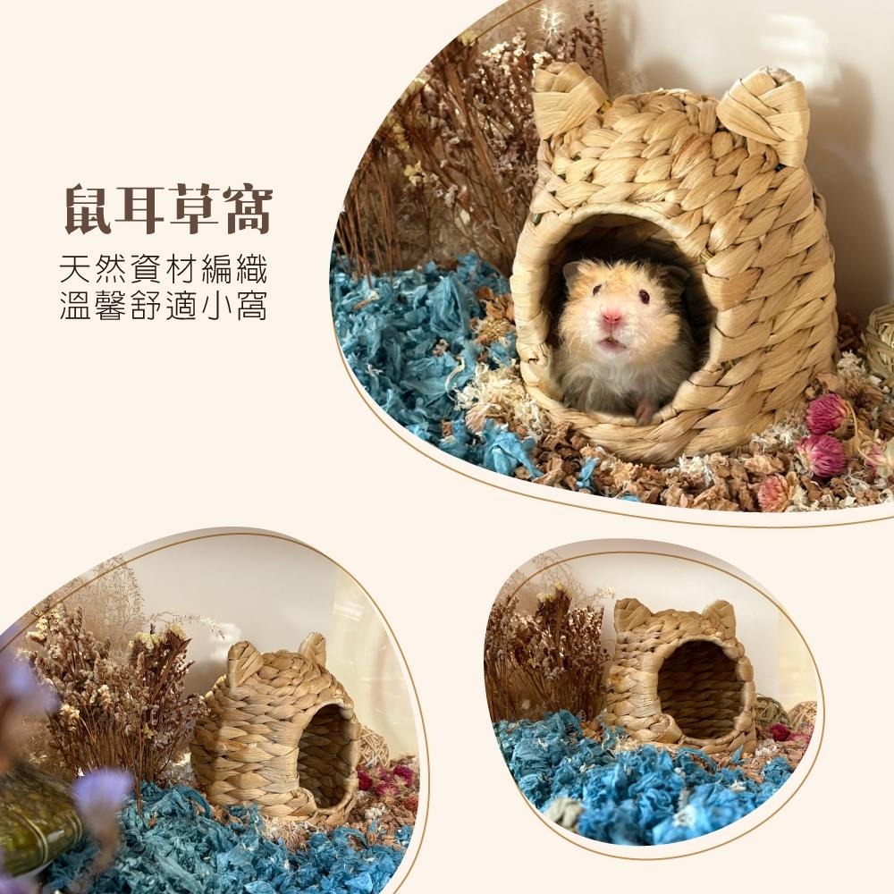 新品✨[噗噠家居]編織系列 鼠耳草窩（獨家設計 天然資材 造景 睡屋 倉鼠 三線鼠 黃金鼠）-細節圖3