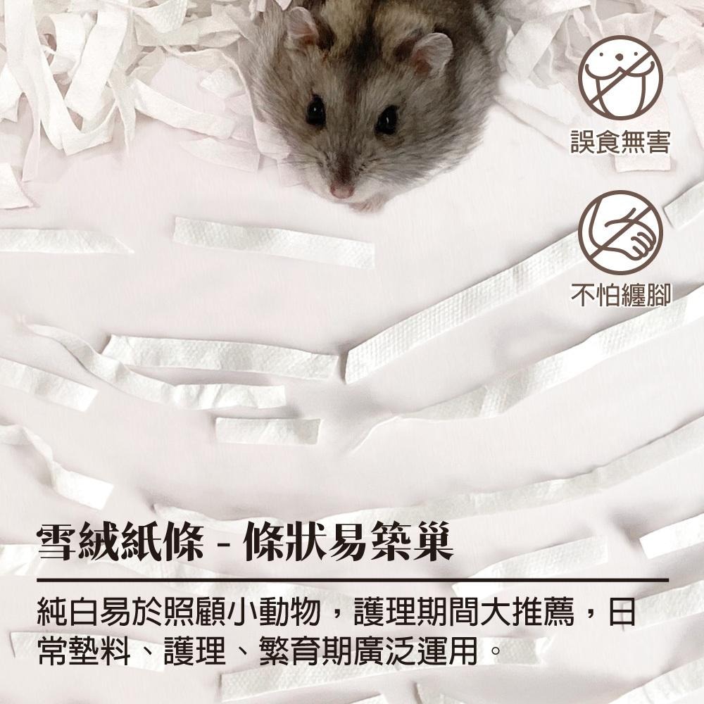 新品✨[噗噗噠噠] 雪絨紙條 5L (倉鼠紙棉 墊料 吸水 護理  黃金鼠 三線鼠 沙鼠 科養）-細節圖4