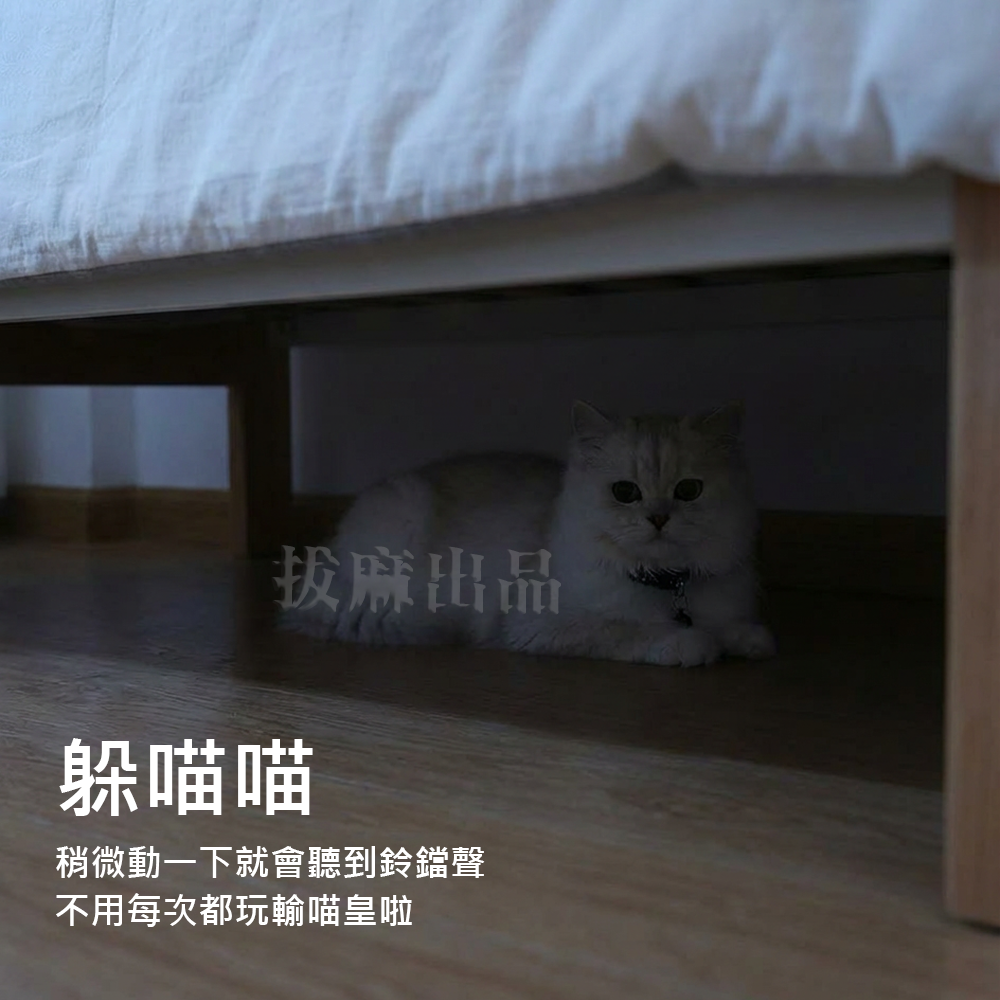 [現貨][台灣出貨]項圈 貓 頸圈 鈴鐺 寵物項圈 尼龍項圈 頸環 防走丟 貓用品 寵物用品 寵物周邊-細節圖4