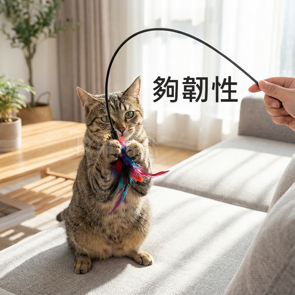 [現貨][台灣出貨]逗貓棒 逗貓桿 七彩 羽毛逗貓棒 逗貓竿 逗貓玩具 貓用品 寵物用品-細節圖4