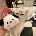 🌸葵の工作室🌸帕恰狗造型吊飾 可愛帕恰狗吊飾 絨毛吊飾 帕恰狗 生日禮物 包包掛件-規格圖4