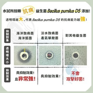 【五股/新莊/青島水族】台灣友浚 水色職人-水草&小型魚缸硝化菌 20G/80G 適小型魚、孔雀魚 培菌 開缸 護缸-細節圖4