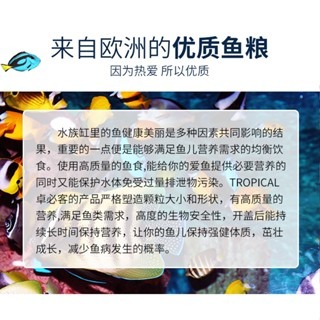 【新莊/五股/青島水族】波蘭Tropical德比克 燈科魚.孔雀魚滿漢全餐 高蛋白.強化免疫系統-細節圖2