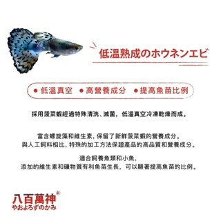 【新莊/五股/青島水族】豐年蝦 小魚乾 豐年蝦 南極蝦乾 赤蟲 麵包蟲 飼料 烏龜/七彩神仙/短雕/鬥魚/澤龜/爬蟲-細節圖6