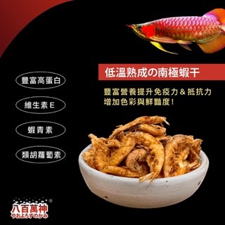 【新莊/五股/青島水族】豐年蝦 小魚乾 豐年蝦 南極蝦乾 赤蟲 麵包蟲 飼料 烏龜/七彩神仙/短雕/鬥魚/澤龜/爬蟲-細節圖7