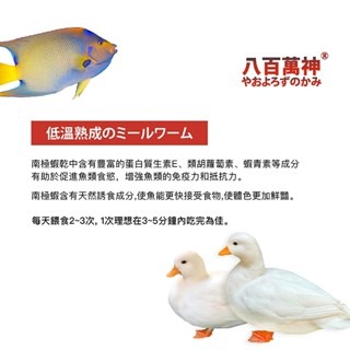 【新莊/五股/青島水族】豐年蝦 小魚乾 豐年蝦 南極蝦乾 赤蟲 麵包蟲 飼料 烏龜/七彩神仙/短雕/鬥魚/澤龜/爬蟲-細節圖9