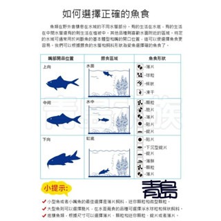 緩沉型/1000ml【新莊/五股/青島水族】波蘭Tropical德比克 高蛋白螺旋藻顆粒飼料 淡 海水魚皆可-細節圖4
