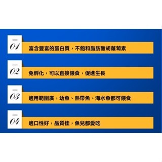 免孵化可即食【新莊/五股/青島水族】仔魚推薦 去殼豐年蝦卵 脫殼豐年蝦卵 豐年蝦  蝦卵 魚苗 孔雀魚 鬥魚 幼魚飼料-細節圖4