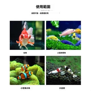 免孵化可即食【新莊/五股/青島水族】仔魚推薦 去殼豐年蝦卵 脫殼豐年蝦卵 豐年蝦  蝦卵 魚苗 孔雀魚 鬥魚 幼魚飼料-細節圖7