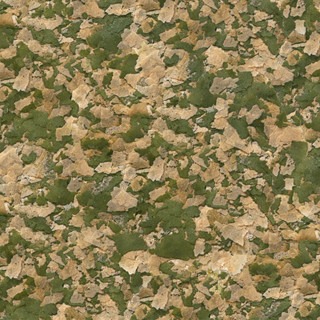 【青島水族】德國Sera喜瑞 成長薄片100ml 250ml 小型魚飼料 熱帶魚飼料 神仙飼料 燈魚飼料 燈科魚 孔雀魚-細節圖2