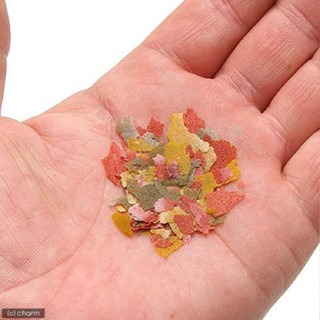 【青島水族】德國Sera喜瑞 成長薄片100ml 250ml 小型魚飼料 熱帶魚飼料 神仙飼料 燈魚飼料 燈科魚 孔雀魚-細節圖5