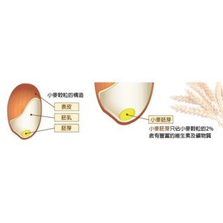 【新莊/五股/青島水族】日本Hikari高夠力 第三代 金魚琉金胚芽專用營養飼料 100g 200g-細節圖3