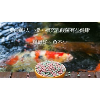 【五股/新莊/青島水族】台灣友浚 水色職人-丹青引 全色系揚色飼料添加劑 20G/80G 增加飼料利用效率 促進魚隻生長-細節圖2