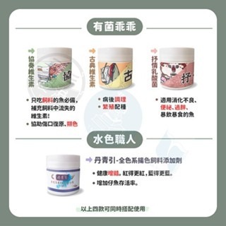 【五股/新莊/青島水族】台灣友浚 水色職人-丹青引 全色系揚色飼料添加劑 20G/80G 增加飼料利用效率 促進魚隻生長-細節圖7