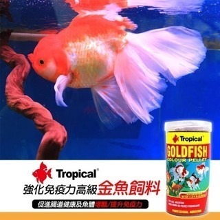 浮上性【新莊/五股/青島水族】波蘭Tropical 德比克 - 強化免疫力高級金魚飼料 250ml 1000ml 魚飼料-細節圖7
