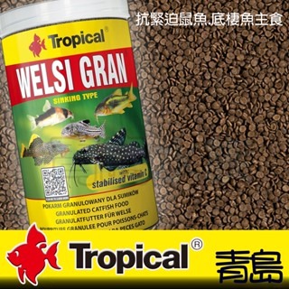 鼠魚底棲魚主食【新莊/五股/青島水族】波蘭Tropical德比克 抗緊迫鼠魚底棲魚主食含高量維他命及綠藻-細節圖7