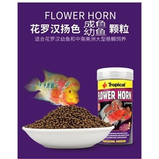 高蛋白【新莊/五股/青島水族】波蘭Tropical德比克 高蛋白花羅漢飼料 嗜口性高  成魚 幼魚成長高蛋白-細節圖3