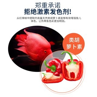 高蛋白【新莊/五股/青島水族】波蘭Tropical德比克 高蛋白花羅漢飼料 嗜口性高  成魚 幼魚成長高蛋白-細節圖4