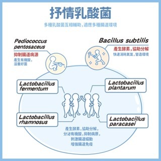 【五股/新莊/青島水族】台灣友浚 有菌乖乖-抒情乳酸菌 20g/80g 淡、海水適用 水族 魚隻腸道 餵食 日常保養-細節圖2