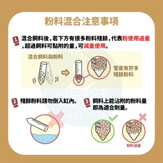 【五股/新莊/青島水族】台灣友浚 有菌乖乖-抒情乳酸菌 20g/80g 淡、海水適用 水族 魚隻腸道 餵食 日常保養-細節圖6