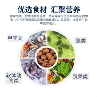 顆粒【新莊/五股/青島水族】波蘭Tropical德比克 高維他中小型熱帶魚主食 250ml 1000ml 全方位成長配方-細節圖7